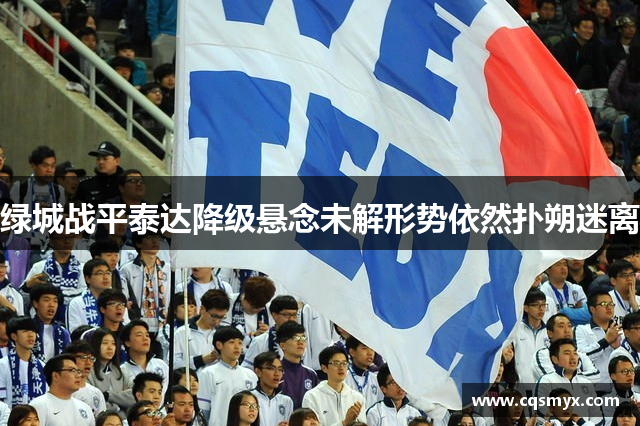绿城战平泰达降级悬念未解形势依然扑朔迷离