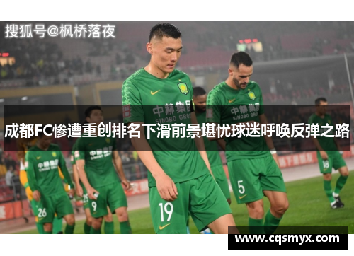 成都FC惨遭重创排名下滑前景堪忧球迷呼唤反弹之路