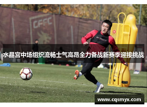 水晶宫中场组织流畅士气高昂全力备战新赛季迎接挑战