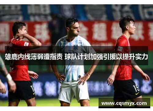 雄鹿内线薄弱遭指责 球队计划加强引援以提升实力