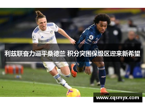利兹联奋力逼平桑德兰 积分突围保级区迎来新希望