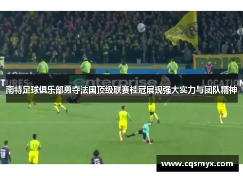 南特足球俱乐部勇夺法国顶级联赛桂冠展现强大实力与团队精神