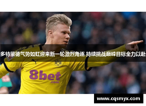 多特蒙德气势如虹迎来新一轮激烈角逐 持续挑战巅峰目标全力以赴