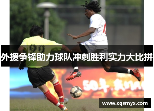 外援争锋助力球队冲刺胜利实力大比拼