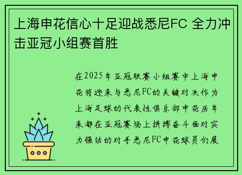 上海申花信心十足迎战悉尼FC 全力冲击亚冠小组赛首胜