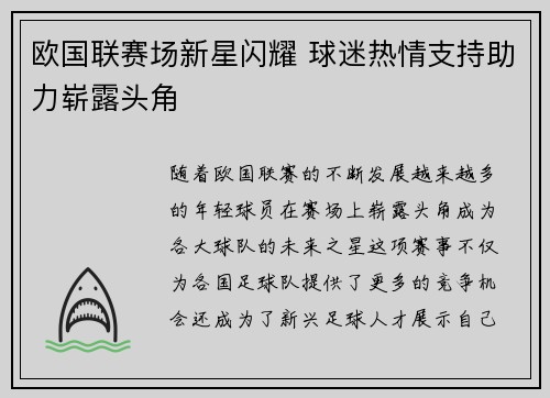 欧国联赛场新星闪耀 球迷热情支持助力崭露头角